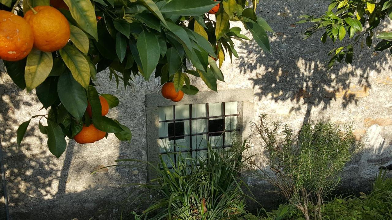 Casale Amati Country House Ortonovo Bagian luar foto